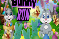 Bunny Run img